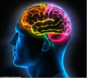 北京大學(xué)第六醫(yī)院陸林教授課題組在《JAMA Psychiatry》 雜志報(bào)告消除煙癮的新方法